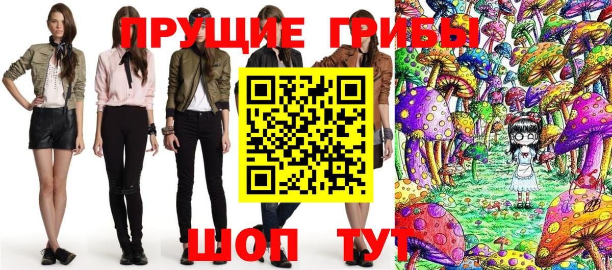 Псилоцибиновые грибы Psilocybe  Вход с VPN  Россошь 